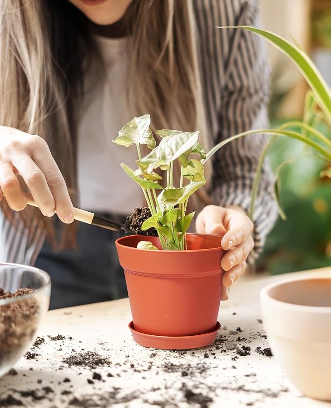 homenote Plant Pots,7.5 Inch Flower Pots for Plants Plastic Planters for Indoor with Multiple Drainage Holes and Trays, for All Home Garden Flowers Succulents,Outdoor(Terra Cotta,8 Pack)