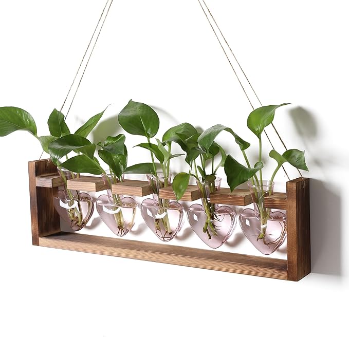 Plant Terrarium Hanging Propagation Stations Gift for Women Plant Lover air Plant Holder with Wooden Stand Heart Glass