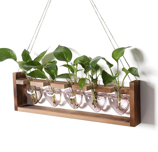 Plant Terrarium Hanging Propagation Stations Gift for Women Plant Lover air Plant Holder with Wooden Stand Heart Glass