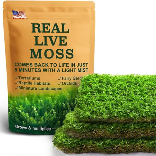 Live Moss – Plagiomnium Moss (3 Sheets, Each Approx. 3.5"x7") for Terrariums, Moss Balls, Bonsai & Natural Plant Decor – Naturally Grown, Reusable, Not Artificial