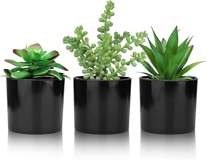 Hopewood Artificial Succulents Faux Potted Plant Decor, Small Fake Plants in Black Pot, Realistic and Lifelike for Book Shelf, Desk Decor, Home Office, Kitchen, or Bathroom Decor - Pack of 3