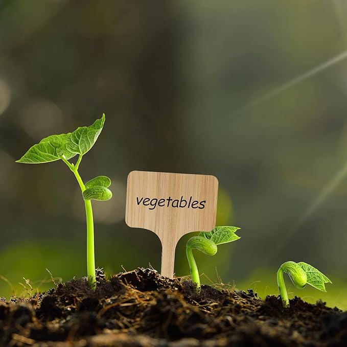 100Pcs Wooden Plant Labels, Eco-Friendly T-Type Bamboo Plant Labels Tags Garden Plant Markers for Seed Potted Herbs Flowers Vegetables (6 x 10 cm)