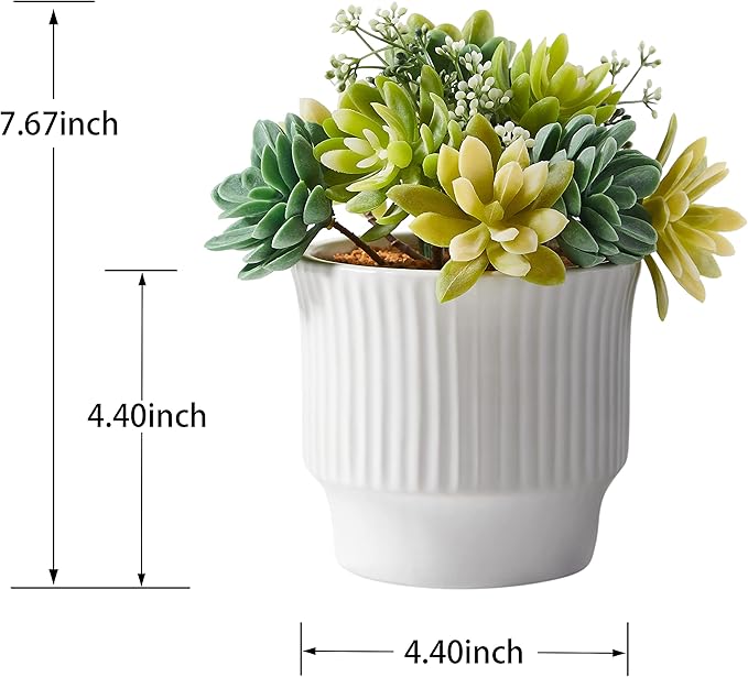 Artificial Succulent Plants, Faux Assorted Succulents Fake Plants in White Ceramic Pots for Home Decor, Bedroom, Office, Desk, Living Room, Set of 2