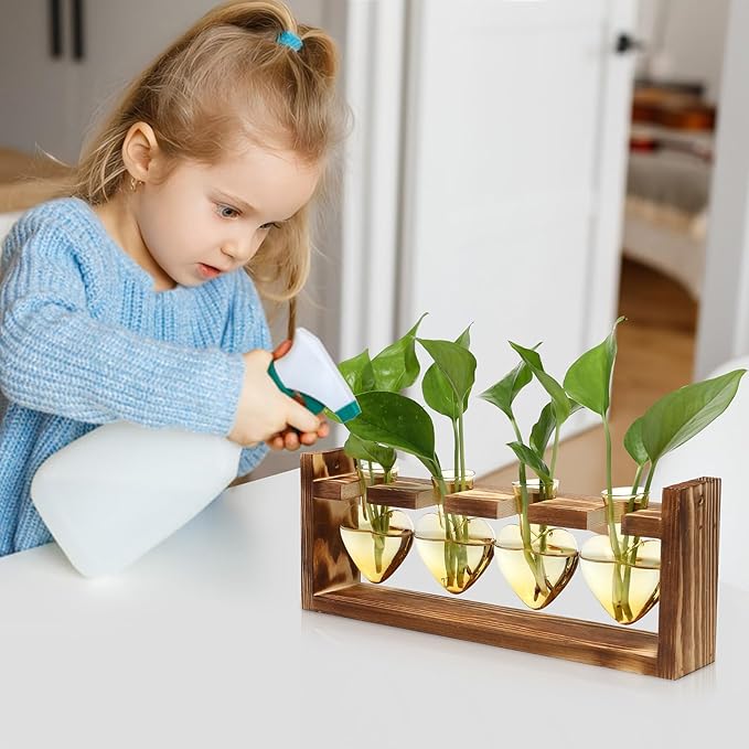 Plant Propagation Stations Heart Plant Terrarium Kit Gift for Women Plant Lover Glass Vases