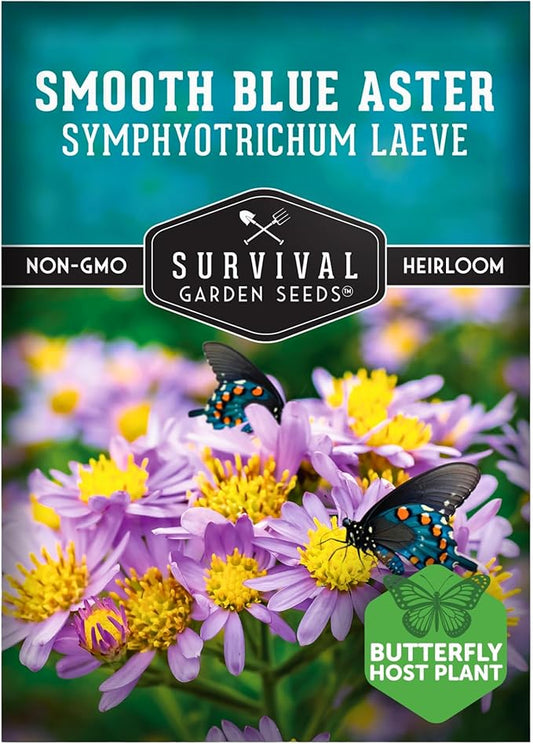 Survival Garden Seeds - Smooth Blue Aster Seeds for Planting | Symphyotrichum laeve | North American Native Wildflower | 1 Pack