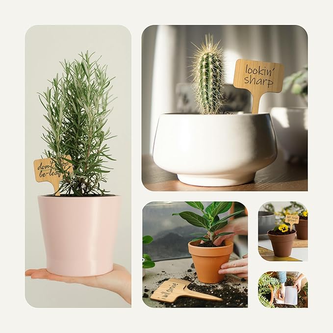 Bamboo Plant Labels, Eco-Friendly Garden Tags | Short T-Type Wooden Garden Markers | 100% Natural, Biodegradable | for Labeling Herbs, Seedlings, Vegetables, Cheeses, Appetizers, Desserts | 50 pcs