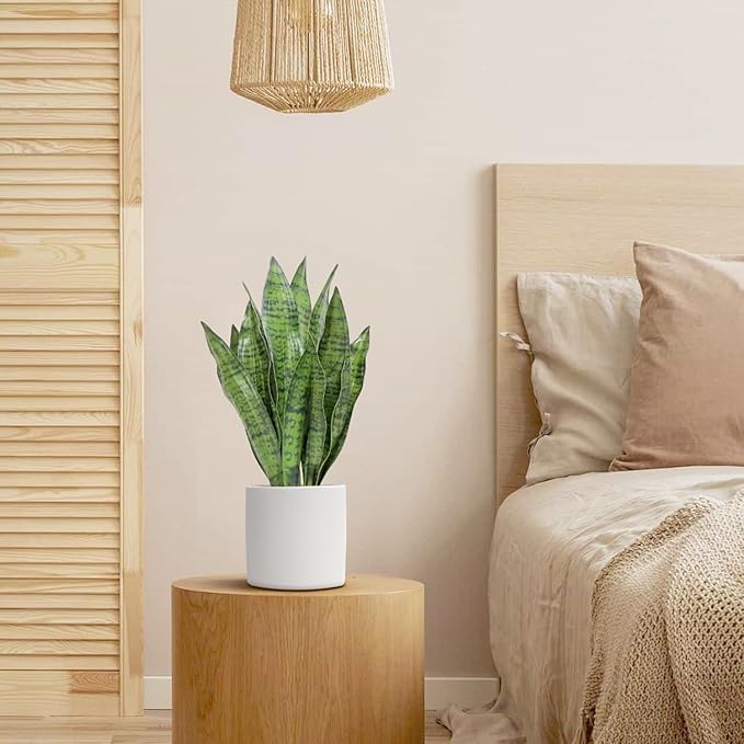 Artificial Snake Plant Set of 2, 18" Faux Snake Plant with Pure White Ceramic Pots, Fake Sansevieria for Home Decor Indoor, Office, Living Room, Housewarming Gifts