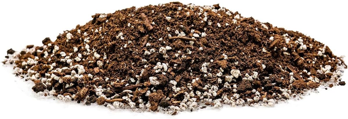 House Plant and Tropical Plant Potting Soil - Re-Potting Soil for All Types of Indoor House Plants - 1 Quart Bag