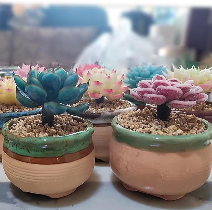 10 lbs Maifanitum Stones for Succulent,1/4 Inch Decorative Rocks for Indoor Plants, Bonsai, Soil Cover. Small Stones for Water Drainage and Plant Growth