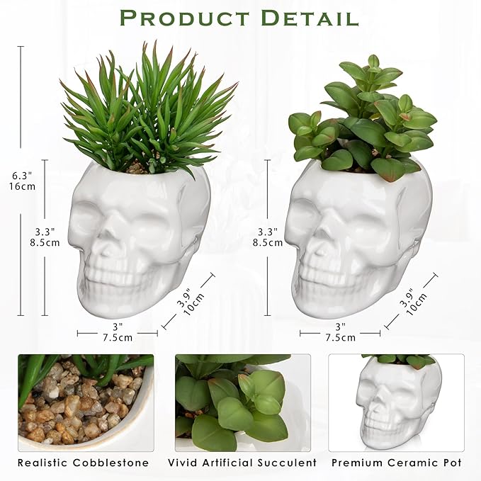 Small Fake Succulents Plants Artificial Succulents in Pots Set of 2 Mini Succulent Plant Realistic Faux Plants Skull Artificial Succulent Plants for Home Office Table Bedroom Bathroom Shelf Decor