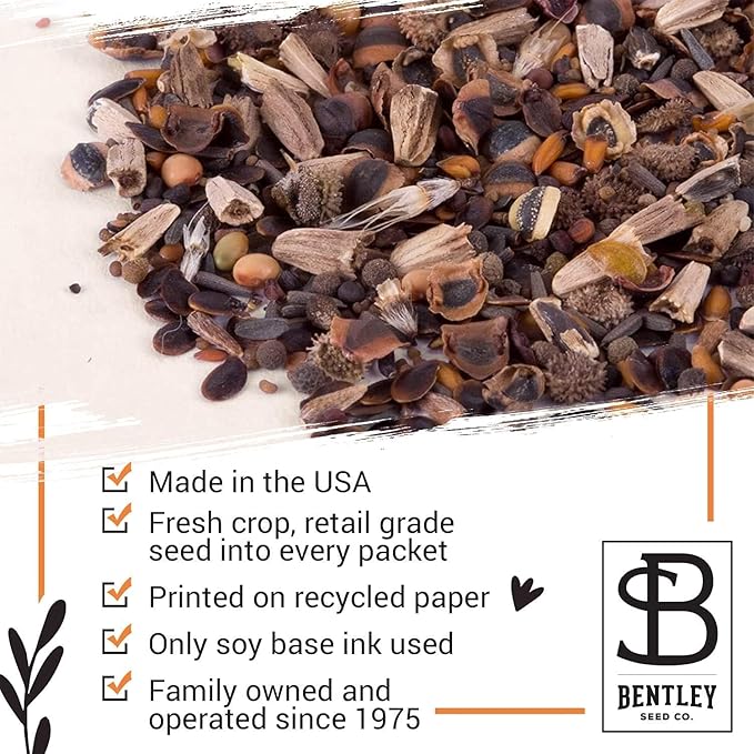 Bentley Seed Co. | Bee Kind Planet | Illustrated Bee Flower Seed Packets | Help Pollinators Environmental Favor for Events | Pollinator Wildflower Mix Seed | Eco-Friendly Hand Out | 25 Pk