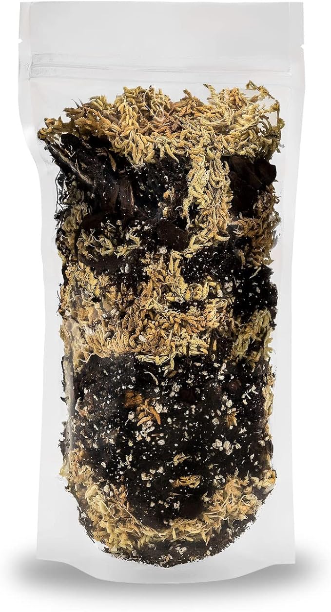 Premium Orchid Mix by GARDENERA | Fern + New Zealand Pine Bark + Sphagnum Moss + Perlite | Best for Growing and Repotting Orchids - 1 Quart Bag