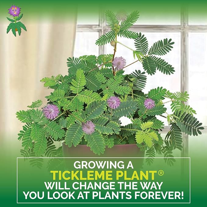 TickleMe Plant Greenhouse Kit