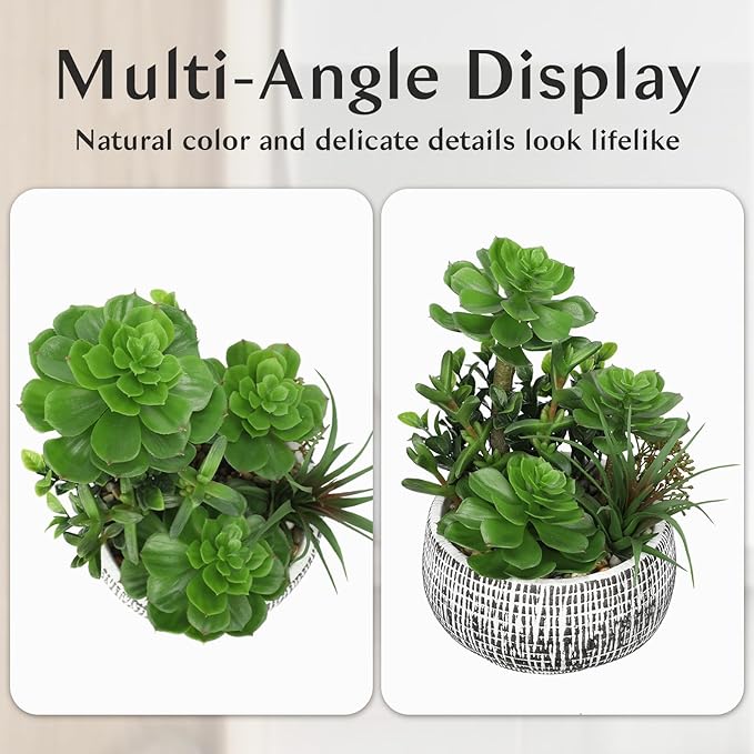 10” Large Succulents Plants Artificial in Ceramic Pots Potted Faux Succulent Arrangement with Black Bowl Pots Fake Desk Succulents Plants for Home Bathroom Shelf Table Indoor Decor