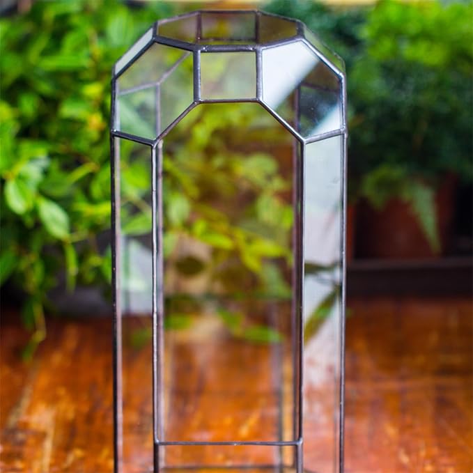 NCYP Open Glass Geometric Terrarium for Plant, Succulent, Cacti - 5.5"x5.5"x12.8" Indoor Tall Octagon Glass Planter, Home Garden Office Vintage Decoration, Micro Landscape (Terrarium Only)