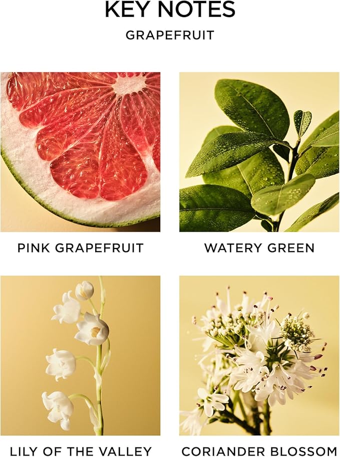 NEST New York Reed Diffuser, Grapefruit - 5.9 fl oz - Fragrance for Up to 90 Days - Reusable, Refillable Glass Holder - Includes 8 All-Natural Reed Sticks - Flame Free