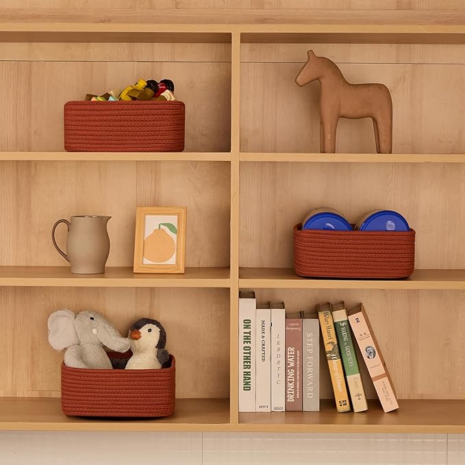 Small Square Shallow Baskets for Organizing, 9.7x9.7x4.3 Inch Rope Woven Storage Bins for Cubes Closet, Shelves Storage, Boho Decorative Basket, 2 Packs Oxide Red