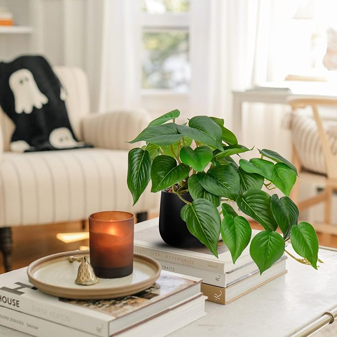 DILATATA Fake Plants Indoor 8 Inch Artificial Pothos Plant in Black Ceramic Pot - Faux Potted Pothos Plant for Home Aesthetic Decor Living Room Shelf Office