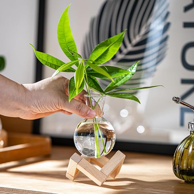 Propagation Stations, Propagation vases with Wooden Stand, Small Tabletop Glass Bulb Vases for Hydroponics Plant Propagation Station Home Office Decoration, Gift for Women Plant Lovers (2)