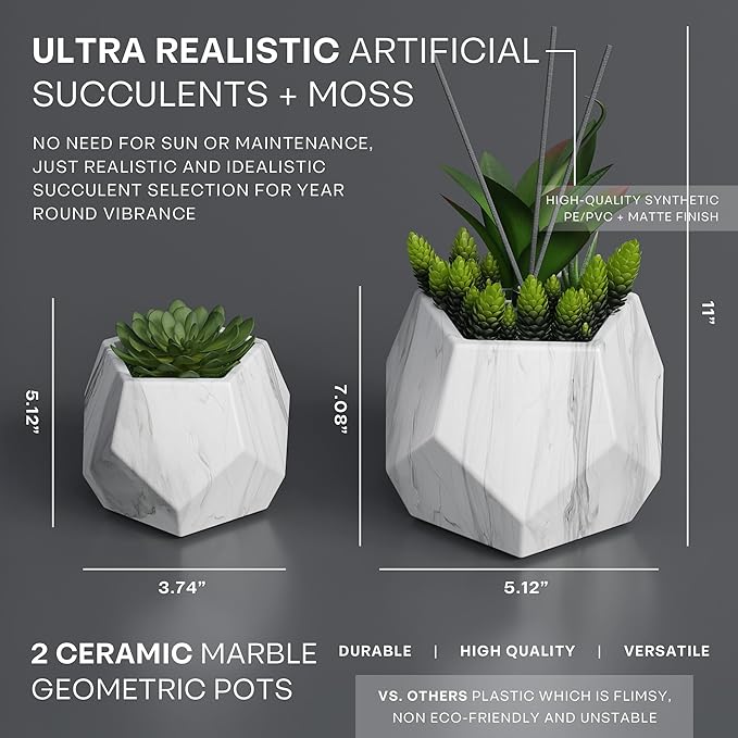 2in1 Reed Diffusers for Home & Faux Succulents Plants Artificial Set-Ceramic Potted Succulents x2 Pcs, Home Fragrance w/Lavender, Lemongrass, Eucalyptus Essential Oilx3 bottles 30ml with 9 Reed Sticks