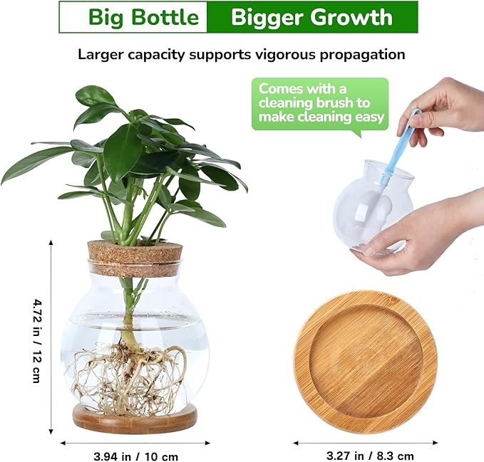 Propagation Station, Larger Capacity Ball Vase with Base for Hydroponic Plants, Home/Office Decor & Gift for Plant Lovers, 2pcs Glass Terrariums