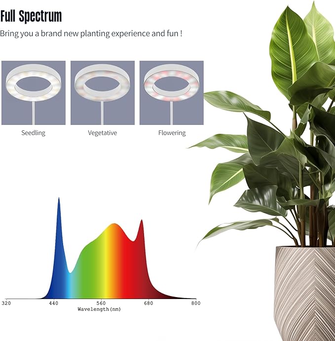 GLOWRIUM Grow Lights for Indoor Plants, 36W Full Spectrum 2-Head LED Plant Light with Stand, Adjustable Height, 3/9/12H Timer, 6 Dimmable Levels & 3 Lighting Modes (White-Double Head)