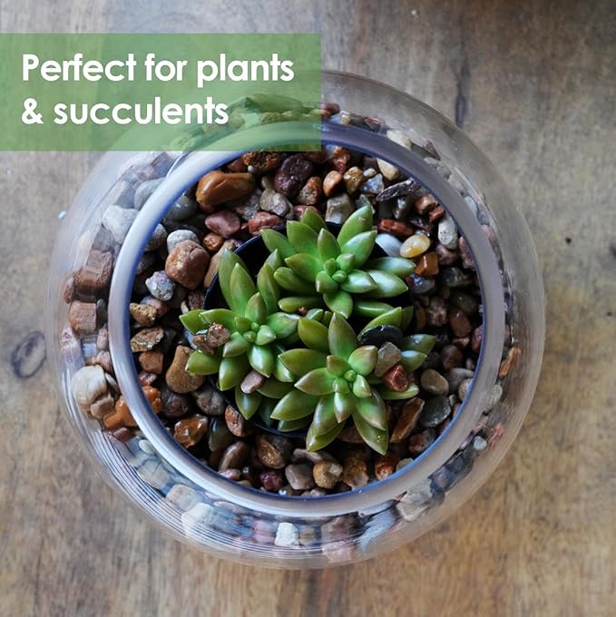 Craft And Party, Glass Bubble Vase, 8" Height x 10" Width, Set of 4 Glass Fish Bowl Vase, Bubble Bowl vase for Terrarium, Flower Vase Centerpiece