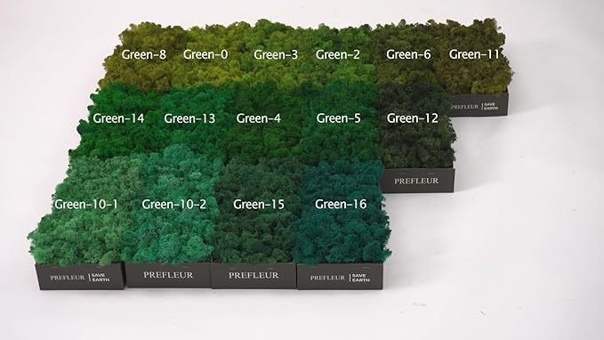 Preserved Reindeer Moss Natural Green DIY Kit Gardenning Art Wall Decor Florist Decor Easter Table Decor Wedding