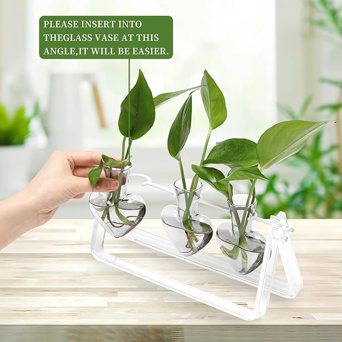 Clear Plant Terrarium Propagation Stations with Acrylic Stand Birthday Gifts for Women Office Home Decor