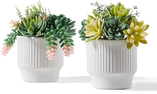Artificial Succulent Plants, Faux Assorted Succulents Fake Plants in White Ceramic Pots for Home Decor, Bedroom, Office, Desk, Living Room, Set of 2