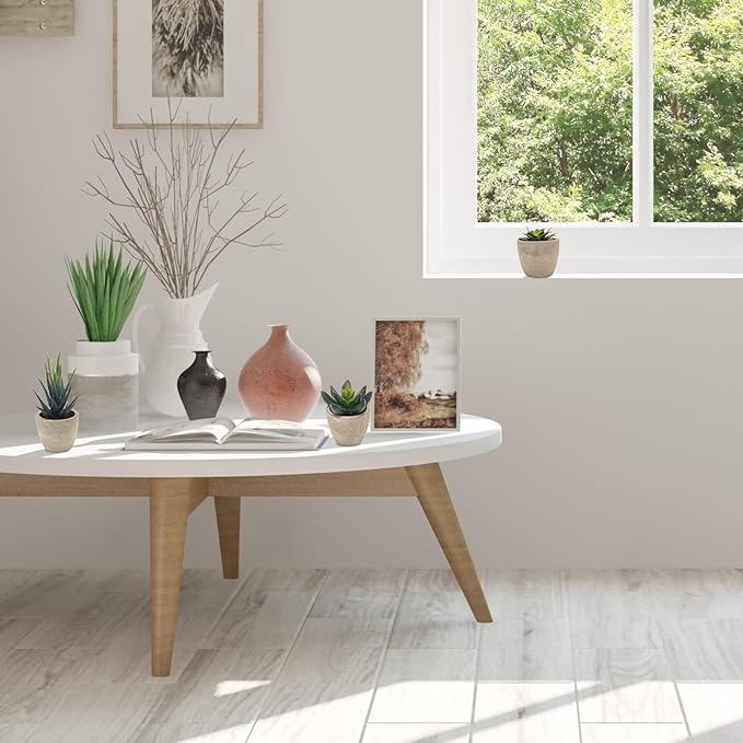 Coitak Artificial Succulent Plants Potted, Assorted Decorative Faux Succulent Potted Fake Cactus Cacti Plants with Pots, Set of 5