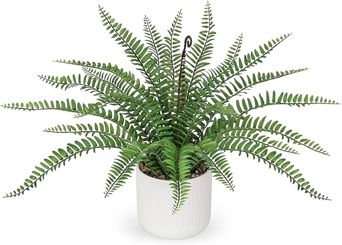 DILATATA Faux Plant Indoor in Ceramic Pot 16" Artificial Potted Boston Fern Fake House Plants for Desk Office Bathroom Garden Decoration