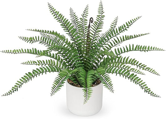 DILATATA Faux Plant Indoor in Ceramic Pot 16" Artificial Potted Boston Fern Fake House Plants for Desk Office Bathroom Garden Decoration