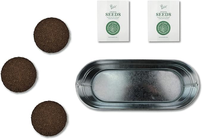 Buzzy Seeds My First Garden Kids Windowsill Grow Kit, Tomato and Marigold Seeds, Indoor Gardening Starter Set for Beginners, Fun DIY Planting Project Gift, New Home Present