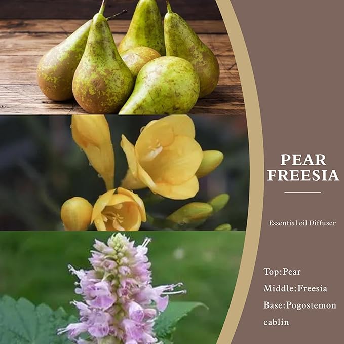 Reed Diffuser Set -8.4 fl oz Scent Diffuser with 6 Reed Sticks, Home Fragrance,Reed Diffuser for Bathroom Shelf Decor (Pear Freesia)