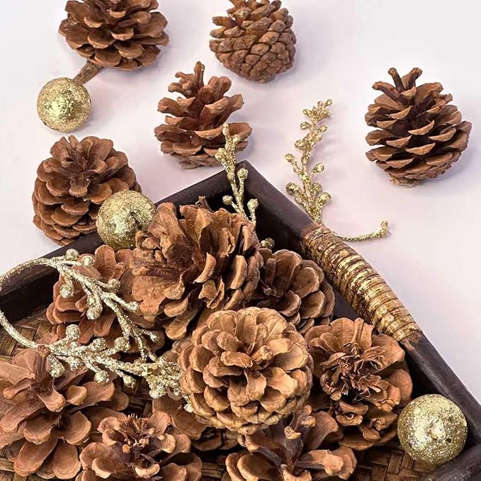 Qingbei Rina Bowl Fillers Vase Fillers, Natural Pinecones for Crafts,Medium Rustic Pine Cone Ornaments with Golden Balls&Berries, Holidays Farmhouse Home Decor