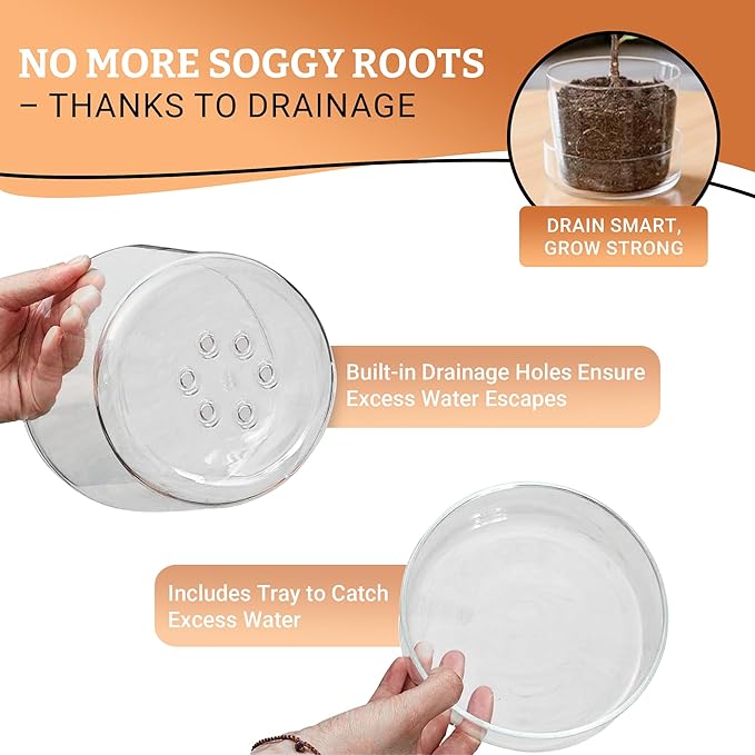 Sheer Glass Pot Planter with Drainage Holes & Tray - Decorative & Modern for All House Plants (4 Inches)