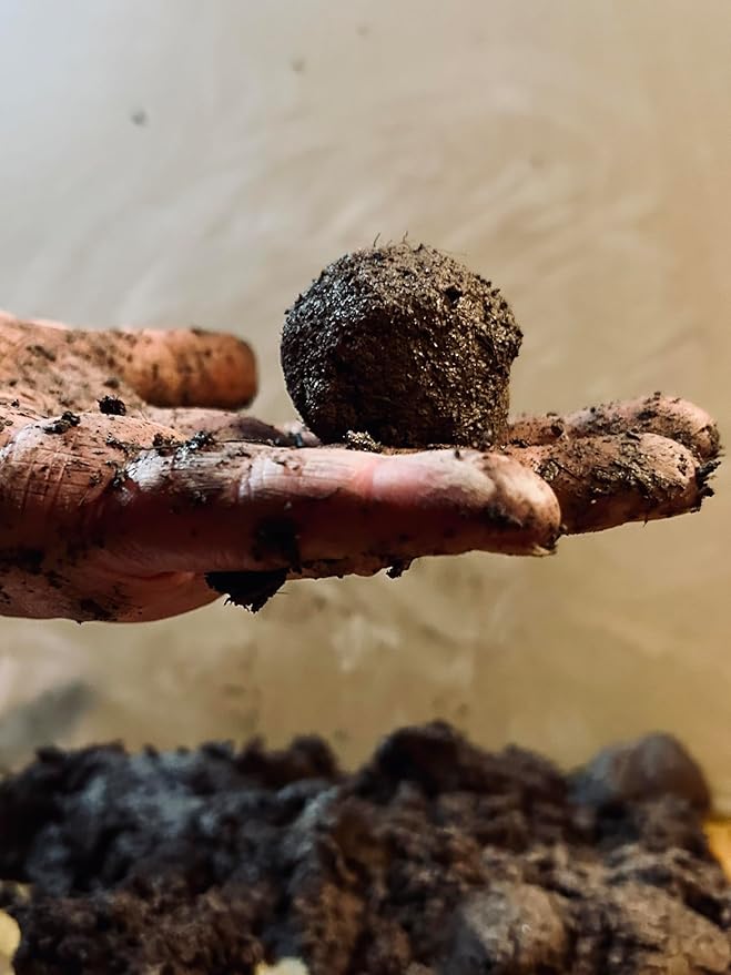 DIY Seedball Making Kit - Eastern Wildflower Edition