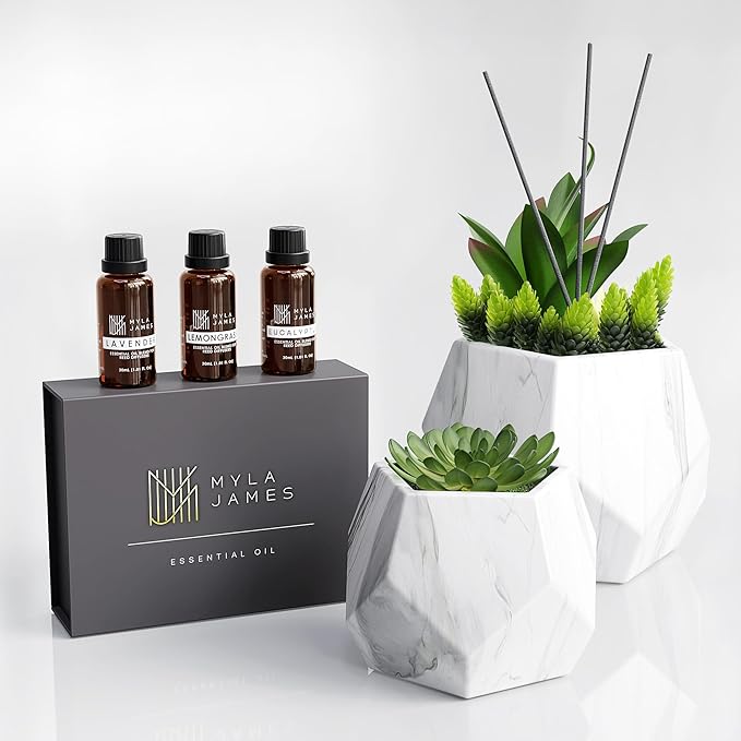 2in1 Reed Diffusers for Home & Faux Succulents Plants Artificial Set-Ceramic Potted Succulents x2 Pcs, Home Fragrance w/Lavender, Lemongrass, Eucalyptus Essential Oilx3 bottles 30ml with 9 Reed Sticks