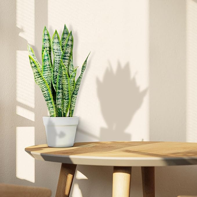 Artificial Snake Plant, Faux Sansevieria Agave Plants with White Pot, 21-inch Potted Fake Decorative Plant for Home Office Decoration Housewarming Gift (Set of 2)