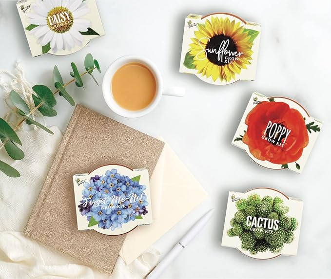 BUZZY Seeds Mini Terracotta Pots 12-Pack with Plant Seeds, Poppy, Sunflower, Daisy, Cactus and Forget Me Not, All-in-One Seed Starter Kit, Indoor Outdoor Gardening Gift, Wedding Favors