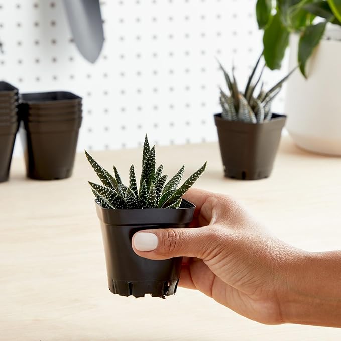 Juvale Nursery Pots - 2 in, Black, 150 Count, Modern Square Stackable - Seed Starter & Seedling Planter - Plastic Plant Pots with Drainage Holes - Indoor Planter