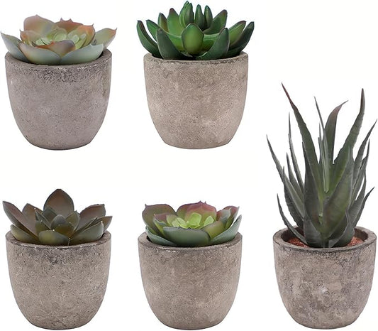 Set of 5 Artificial Succulent Plants in Pots - Lifelike Fake Succulents for Desk Decor, Low-Maintenance Home & Office Decor Gift