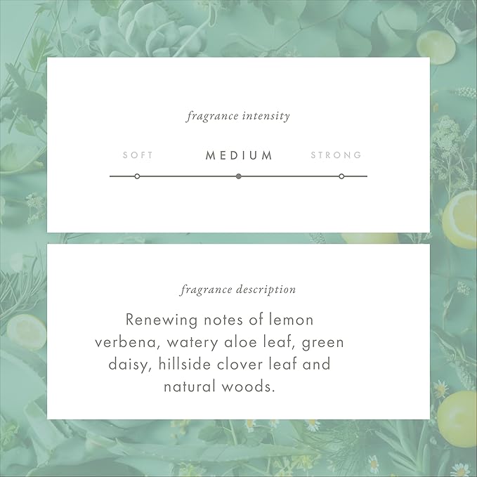 ScentAir Whisper Home Monthly Plug-in Refill, Fragrance Cartridge for Home and Office, Green Clover & Aloe