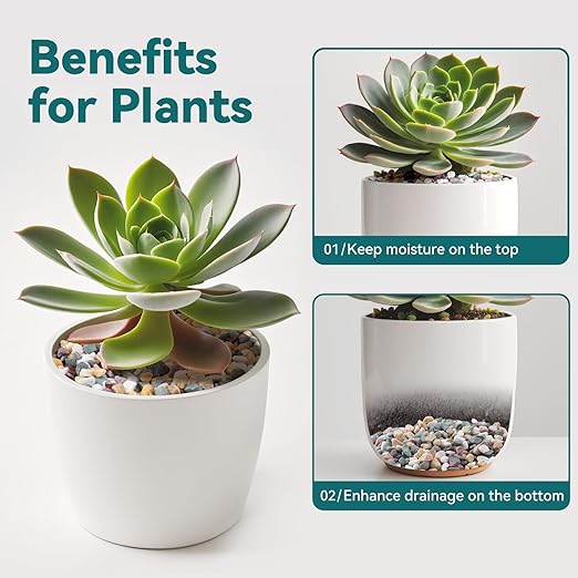 10 lbs Natural Pea Gravel Pebbles for Aquarium, Fish Tank, 3/8 inch Decorative Pebbles for Indoor Plants, Succulent, Bamboo, Vase, Drainage Rocks for Potted Plants, Top Dressing, Mixed Color