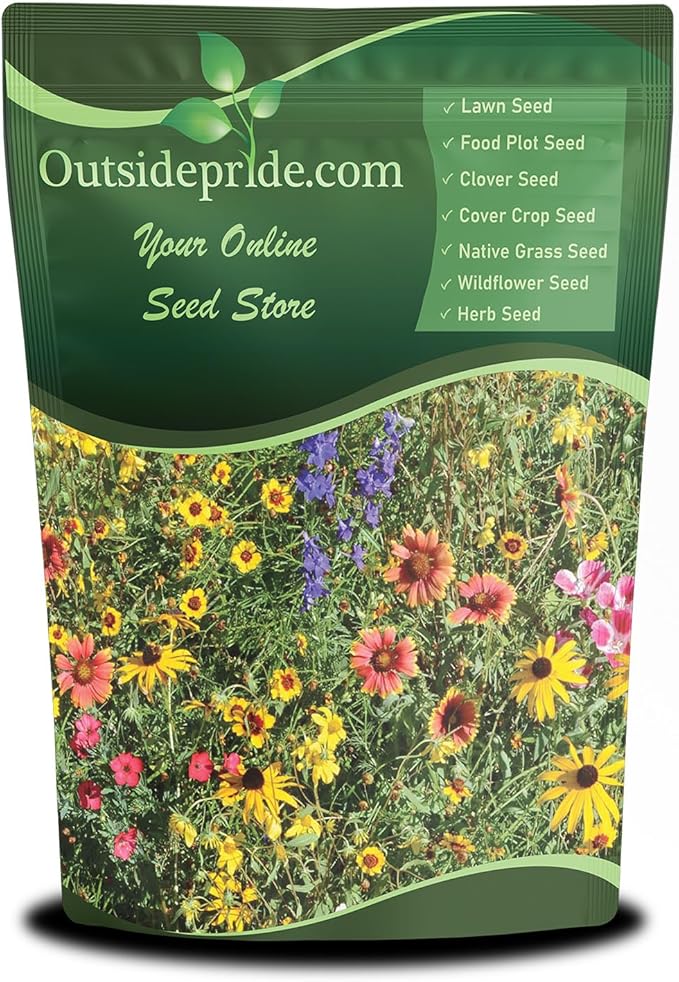 Outsidepride Mountain Wild Flower Seed Mix - 1 lb Premium Blend of Annual & Perennial Wildflower Seeds for High-Elevation in USDA Zones 3-8, Ideal for Mountain Gardens, Low-Maintenance & Easy to Grow
