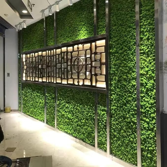 Preserved Reindeer Moss Natural Green DIY Kit Gardenning Art Wall Decor Florist Decor Easter Table Decor Wedding