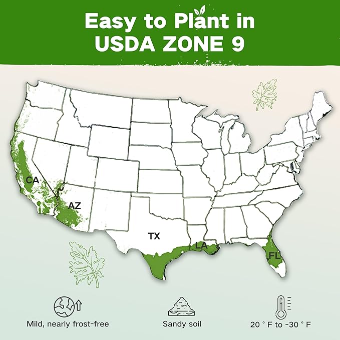 Lush&Dew Year-Round USDA Zone 9 Seed Bank, Gift for Mom Dad, 32 Varieties Non-GMO Heirloom Seeds of Vegetables Herbs, Gardening Gifts for Women Men, Survival Seed Kit for Raised Garden Bed Greenhouse