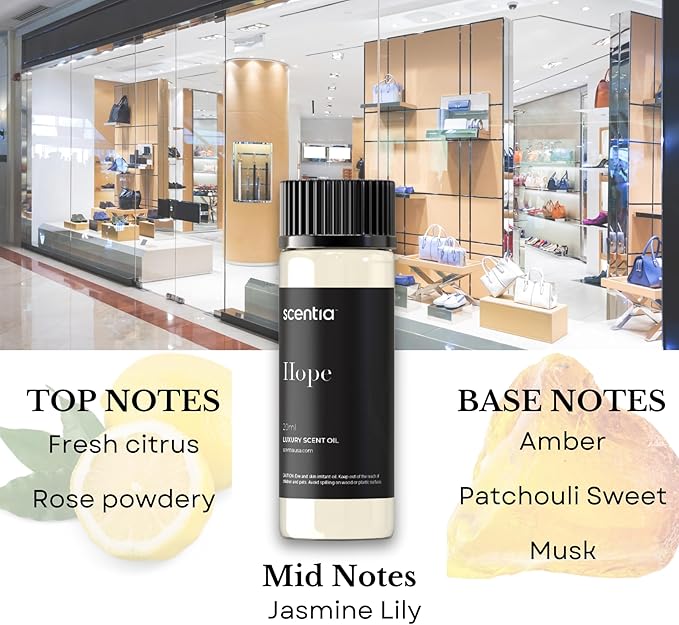 Perfume-Inspired Essential Oil Set – 3×20ml Diffuser Oils with Floral & Woody Notes | Designer Fragrance Blends for Home, Spa & Aromatherapy - Thanksgiving & Holiday Gift