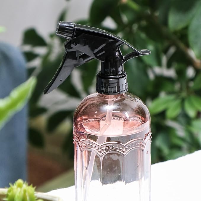 OFFIDIX Watering Can for Indoor Plants Long Spout Metal Stainless Steel 21 oz/600 ml Small Watering Can with 14 oz/400ml Glass Plant Mister Spray Bottle for Plants Bonsai